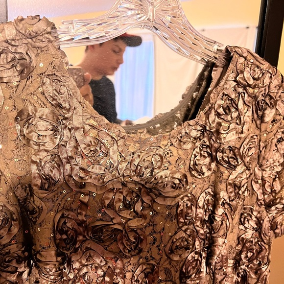 Women’s size 16 sequins dress. Floor length. It is an Alexander Evening dress. - Picture 2 of 4